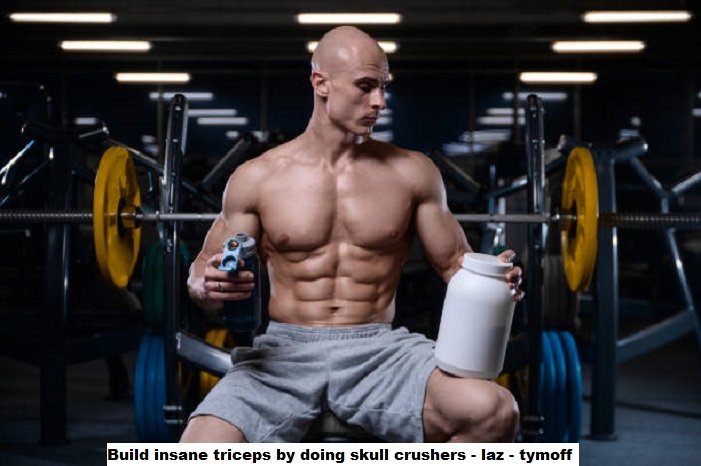 build insane triceps by doing skull crushers - laz - tymoff