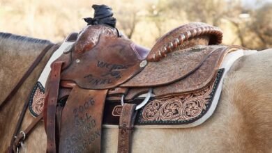 Western Saddles and Horse Tack